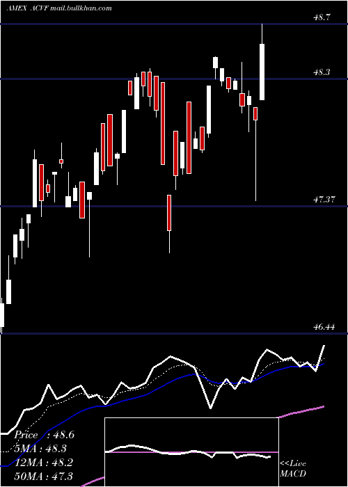  Daily chart AmericanConservative