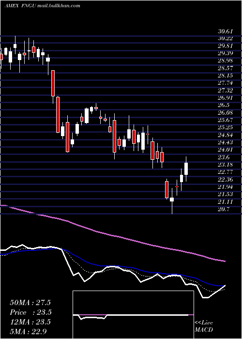  Daily chart MicrosectorsFang