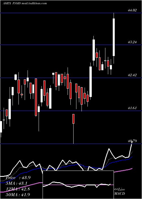  Daily chart FidelitySmall