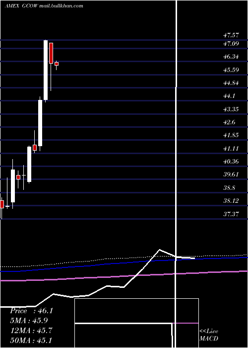  monthly chart PacerGlobal
