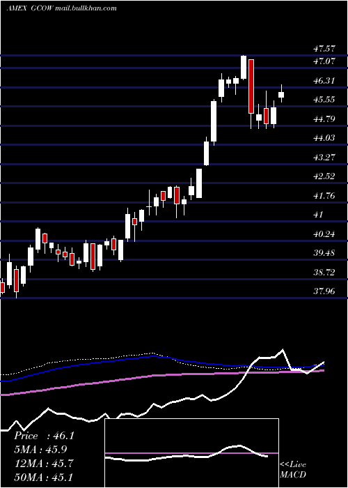  weekly chart PacerGlobal