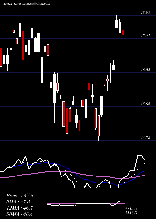  Daily chart LeadersharesAlphafactor