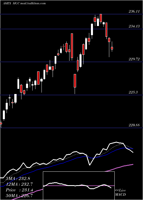  Daily chart Megacap300