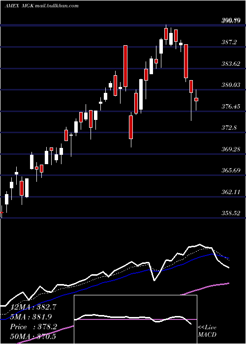  Daily chart Megacap300