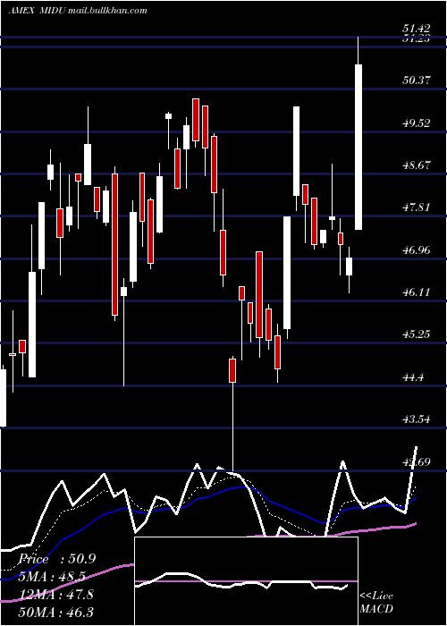  Daily chart DirexionDaily