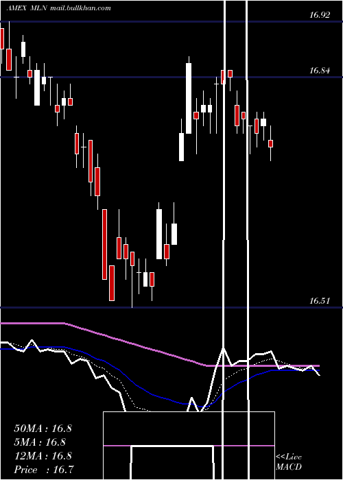  Daily chart LongMunicipal