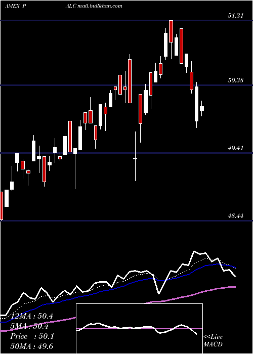  Daily chart PacerLarge