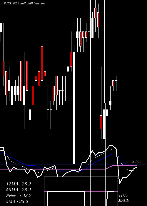  Daily chart InsuredNational