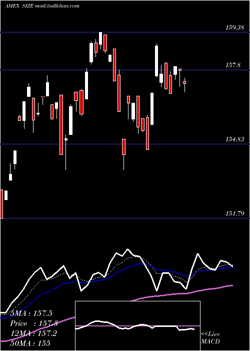  Daily chart MsciUsa