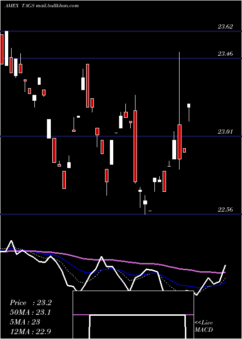  Daily chart TeucriumAgricultural
