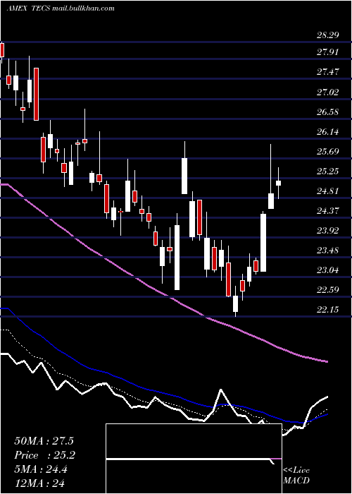  Daily chart TechnologyBear