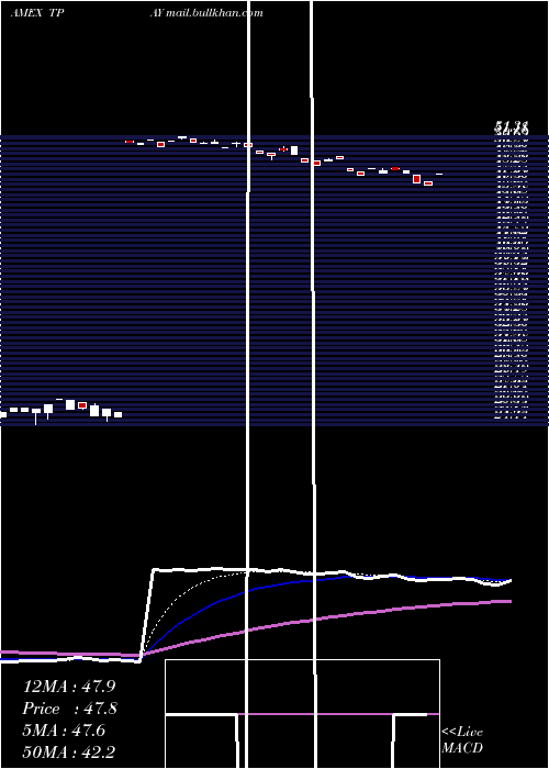  Daily chart TortoiseDigital