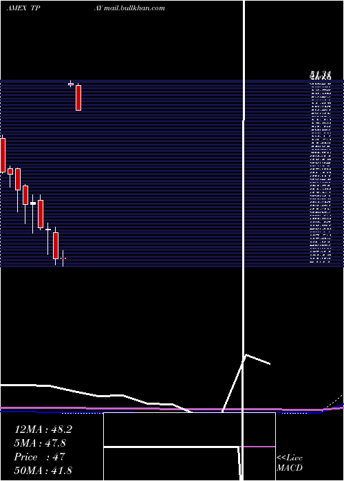  monthly chart TortoiseDigital