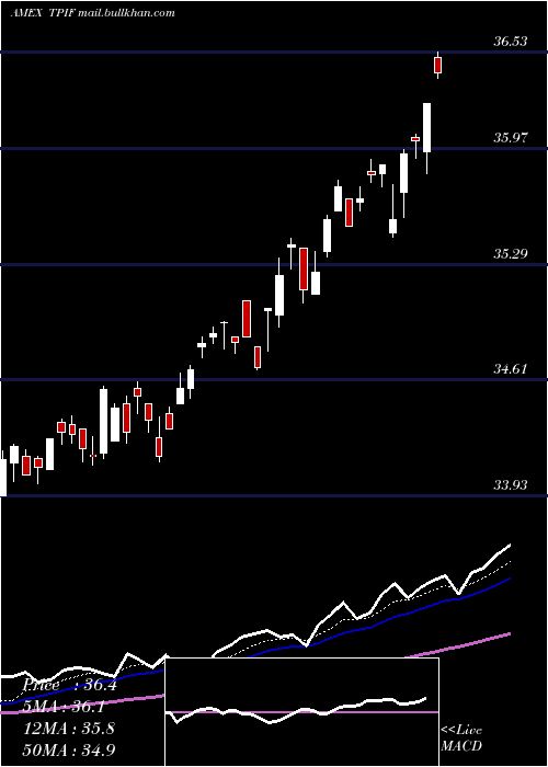 Daily chart TimothyPlan