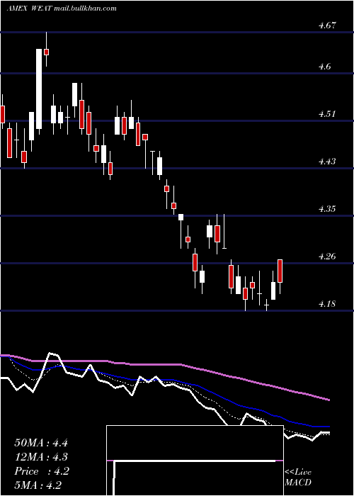  Daily chart TeucriumWheat