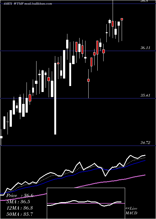  Daily chart WisdomtreeManaged