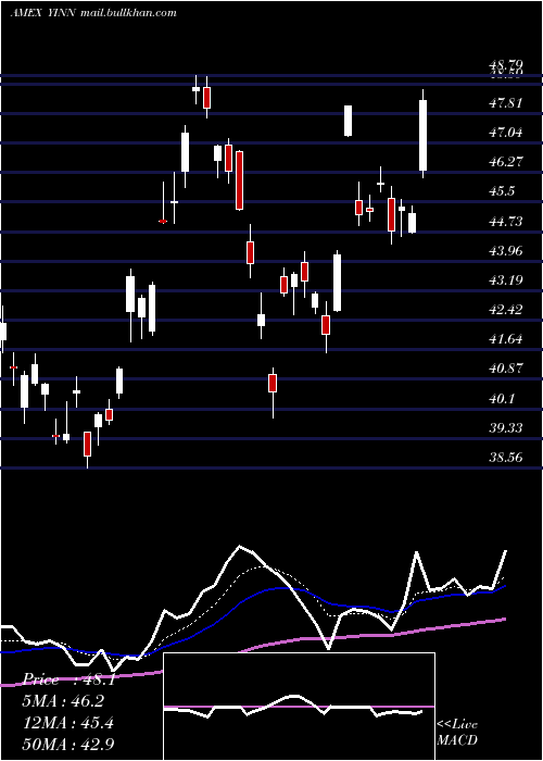  Daily chart DirexionDaily