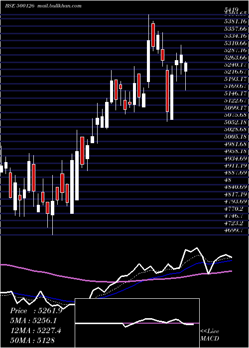  Daily chart Pghl