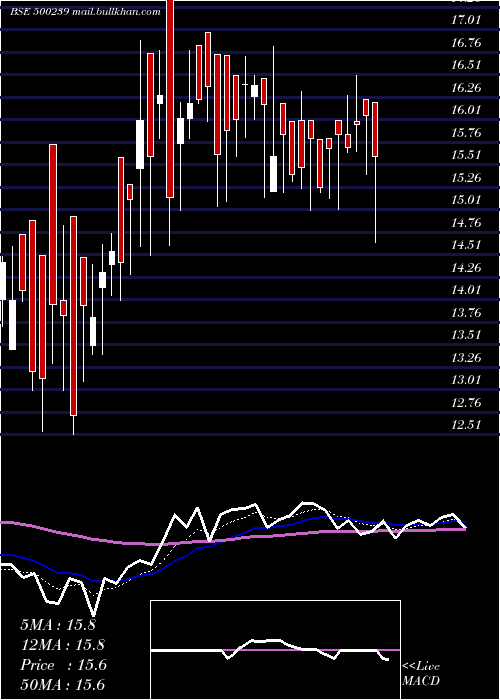  Daily chart KgDenim