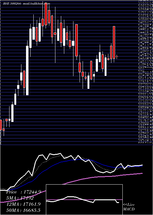  Daily chart MahScooter