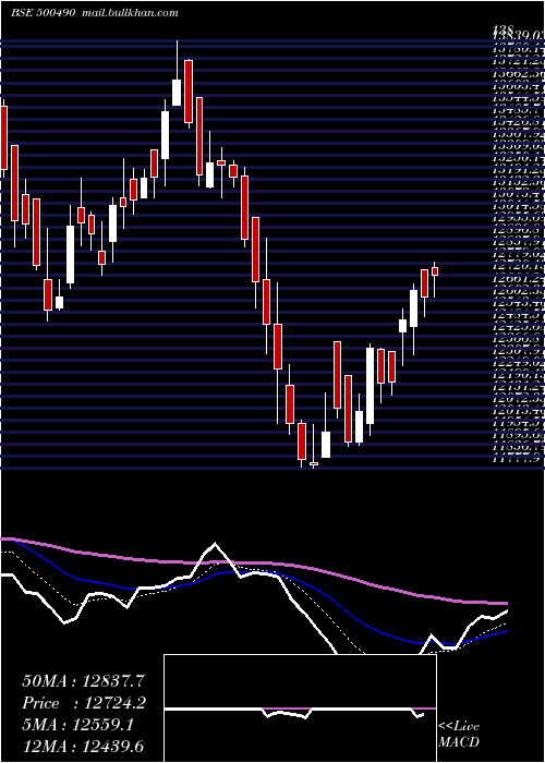  Daily chart BajHold