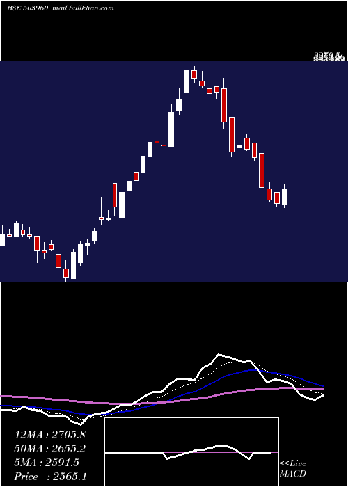 Daily chart BharatBijle