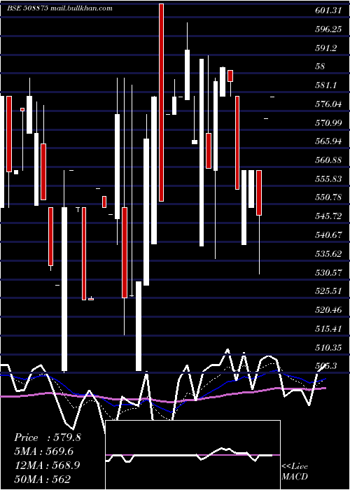  Daily chart Nitincast