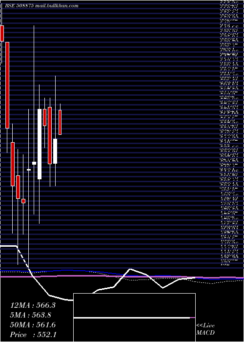  monthly chart Nitincast