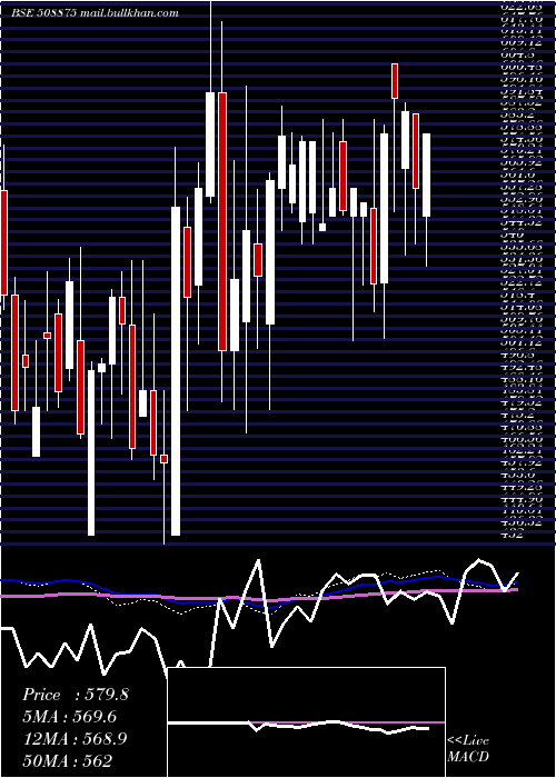  weekly chart Nitincast