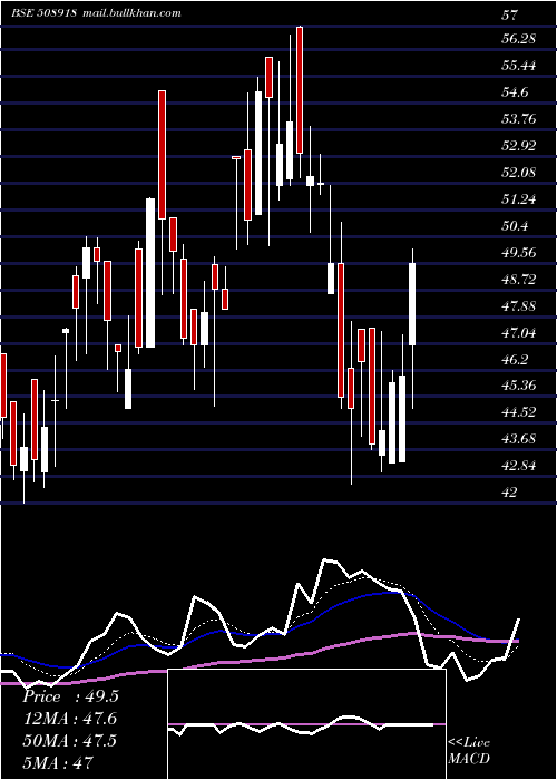  Daily chart Greycells
