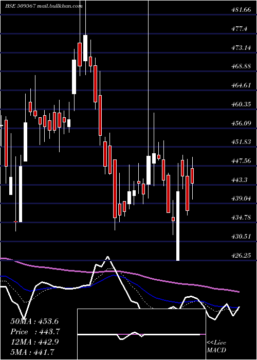  Daily chart GoaCarbon