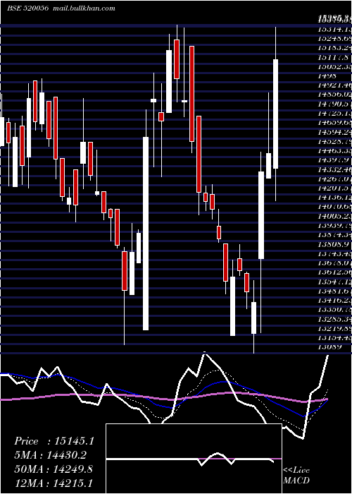  Daily chart SundarClay