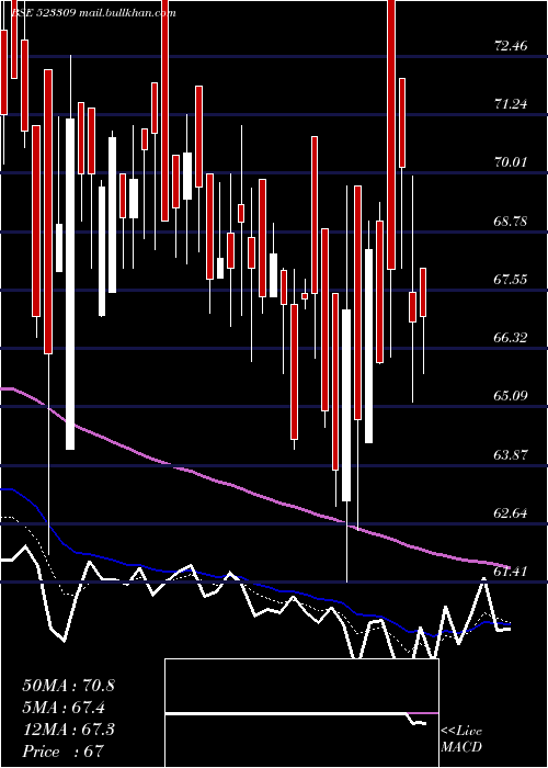  Daily chart ShrigangInd