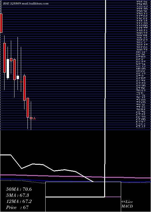  monthly chart ShrigangInd