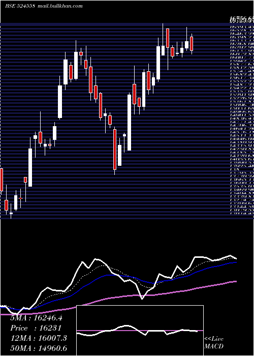  Daily chart NeulandLab
