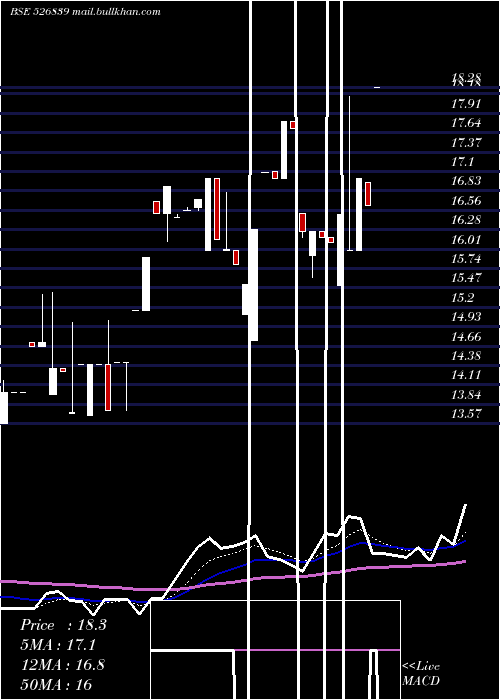  Daily chart Shelter