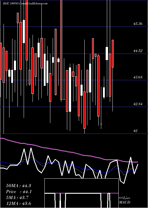  Daily chart Raminfo