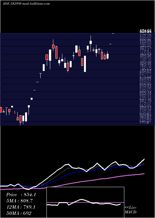  Daily chart Sezalglass