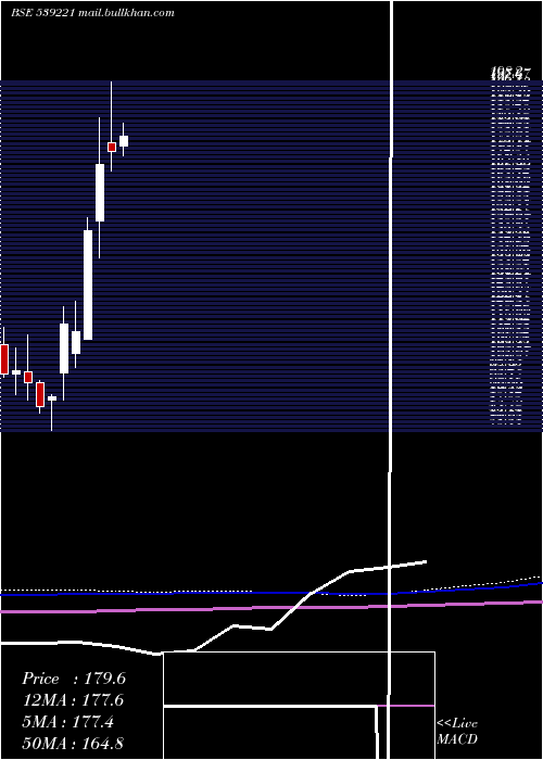  monthly chart Sportking