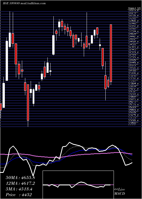  Daily chart Pilaniinvs