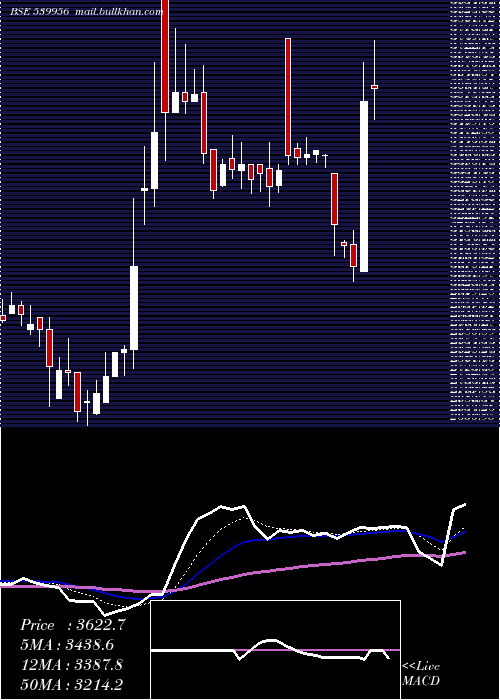  Daily chart Taalent