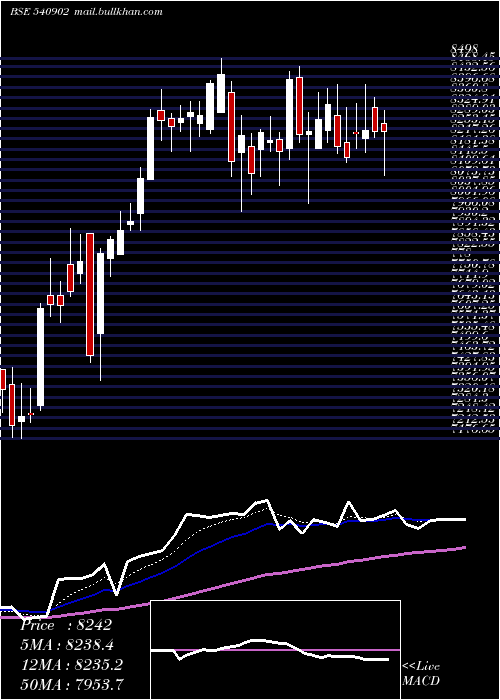  Daily chart Amber