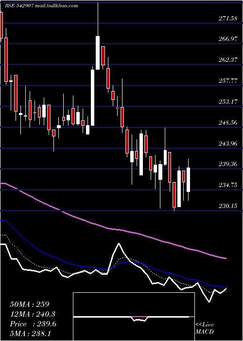  Daily chart Princepipe