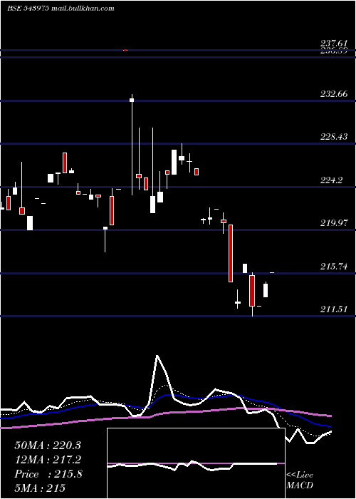  Daily chart Nifmid150