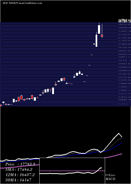  Daily chart Sgbnov28