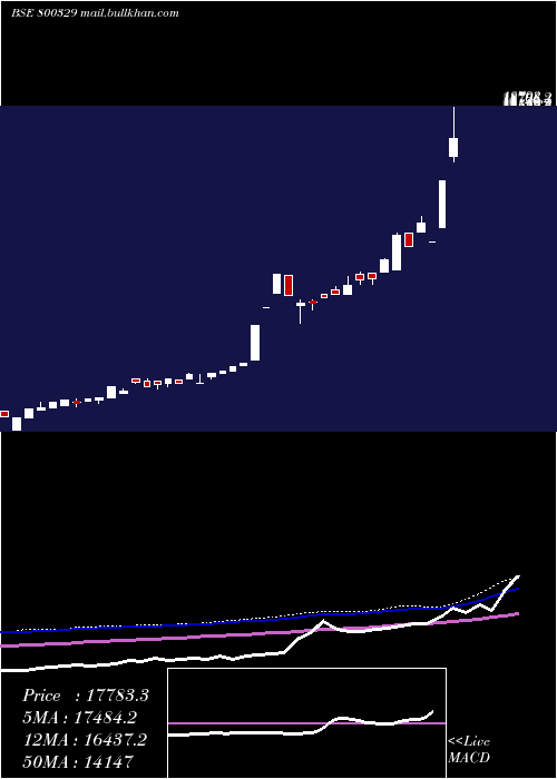  weekly chart Sgbnov28