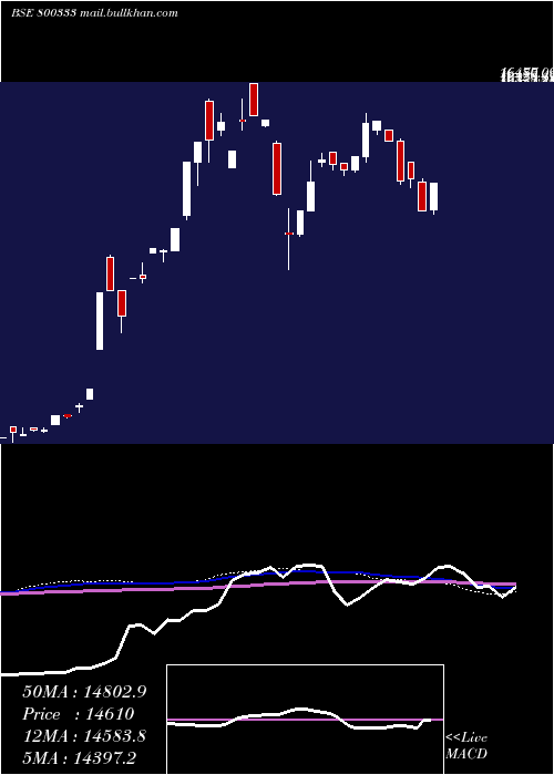  weekly chart Sgbfeb29