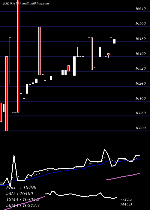  Daily chart Pfcbt1s4