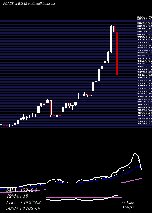  Daily chart GoldSaudi