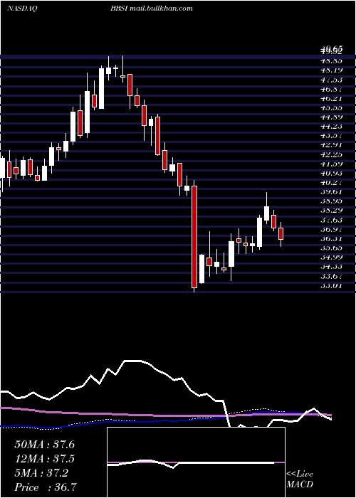  weekly chart BarrettBusiness
